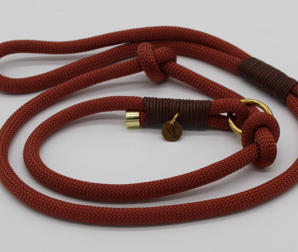 Retriever-Leine bronze braun