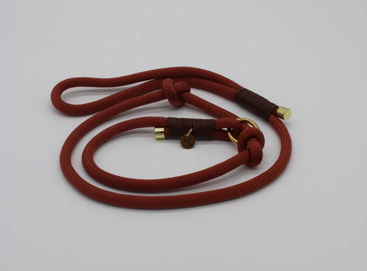 Retriever-Leine bronze braun